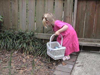 Emma searching by the garden fence