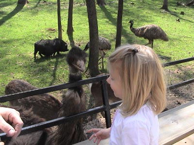 Emma feeding an Emu