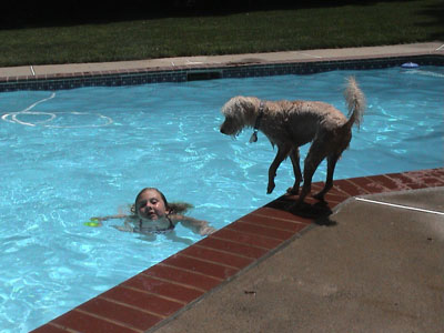 Crumpet loves the swimming pool