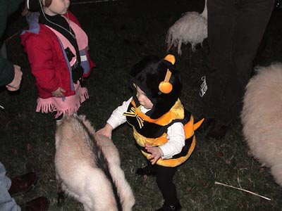 Emma petting a little goat