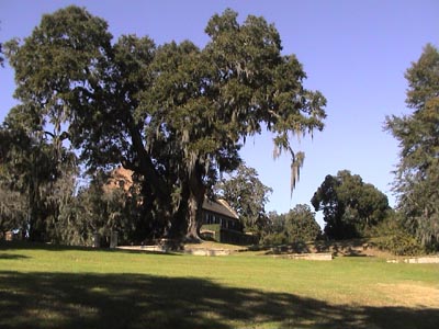 Middleton Plantation in South Carolina