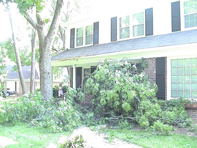 While Mark was here; one of the limbs from one of our trees falls on the house