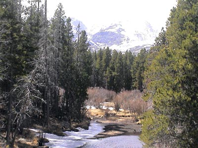 Small Stream by roadside in Colorado