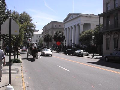 Horse and Trap on the street in Charleston in April